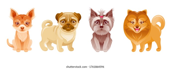 Dogs set. Vector puppy. Cartoon pets. Cute icon with happy Pug, Chihuahua, Yorkie Terrier, Pomeranian. Small breed collection. Funny animal illustration. Cute dogs collection