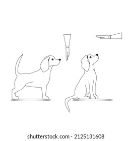 Dogs silhouette . The dog is sitting. Beagle silhouette. Set. Vector flat illustration, icon instruction how to train a dog. Sit command. Cynologists. Line art