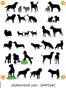 dogs silhouette part 2 of 3:dog's breed