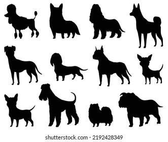 Dogs Silhouette Set Of Different Breeds. Side View Pet Stand Icon In Black Color. Make Used For Dog Show, Competition, Pet Store, Guide Dog. Domestic Animal Isolated On White Background