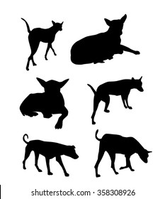 Dogs Silhouette Set - Vector