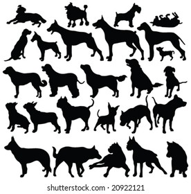 dogs silhouettes - vector