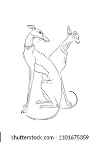 dogs sitting, lines, vector, white background
