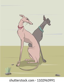 dogs sitting, outdoors, vector