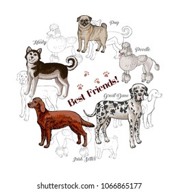  Dogs sketches Background. Dogs of different breeds. Hand drawn vector illustration