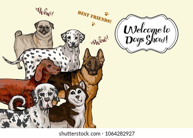  Dogs sketches. Dogs of different breeds.Hand drawn vector illustration