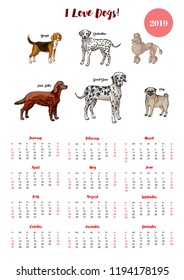  Dogs sketches set. Dogs of different breeds.Hand drawn vector illustration