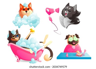 Dogs spa and grooming service, funny puppies enjoying salon procedures, pets drying hair with fan, manicure nails care, doggy take bath in tub with shampoo bubbles. Animals hygiene Cartoon vector set