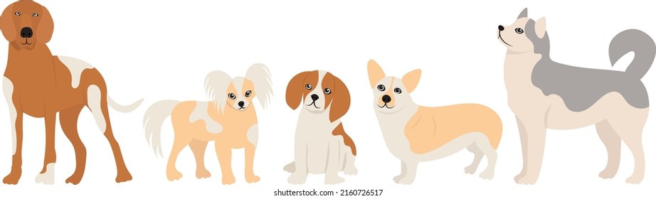 dogs stand in flat design isolated, vector