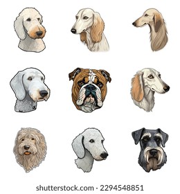 Dogs Stickers Flat Icon Set Isolated On White Background