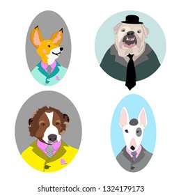 Dogs in suits cartoon characters vector set corgi, English bulldog, saint Bernard, bull terrier anthropomorphic portraits