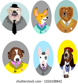 Dogs in suits cartoon characters vector set chow chow, saint Bernard, English bulldog, greyhound, welsh corgi, bull terrier and basset hound anthropomorphic portraits
