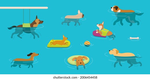 Dogs Swimming in Water or Pool, Playing, Exercise, Hydrotherapy or Physical Therapy