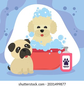 dogs taking a bath full of soap foam