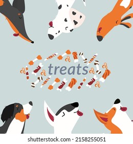 Dogs and treats. Vector illustration of three dogs hide their heads. Isolated on a blue background.