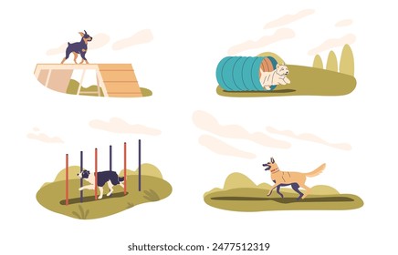 Dogs Undergoing Training In A Yard, Featuring Various Pieces Of Exercise Equipment Like Ramps, Tunnels And Poles