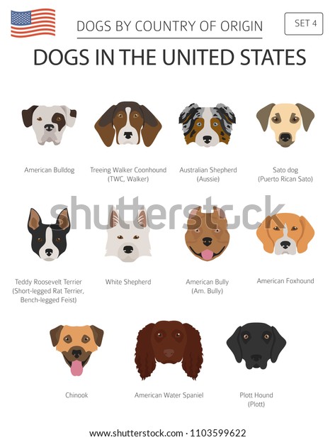 Dogs United States American Dog Breeds Stock Vector (Royalty Free ...