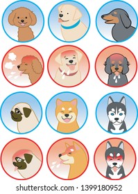 Dogs of various expressions Various breeds of dogs