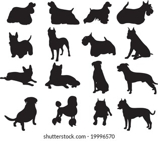 dogs vector