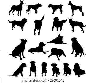 dogs - vector