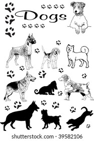 dogs vector