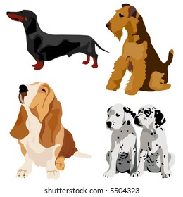 Dogs vector