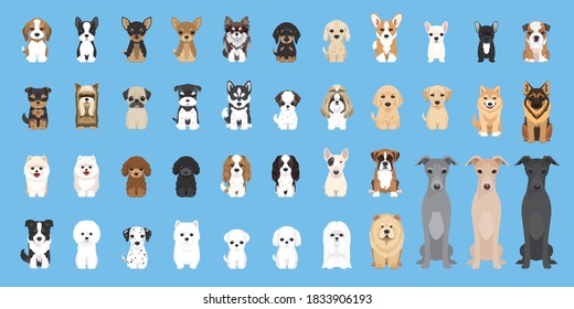 dogs vector Cute puppy pet characters breads doggy illustration. Different type of vector dogs - Shutterstock ID 1833906193