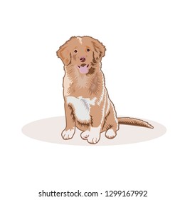dogs vector illustration