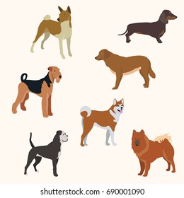 dogs vector illustration showing different breeds including a rottweiler fox terrier bloodhound german shepherd and pitbull and different fur color