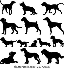 Dogs vector illustrations