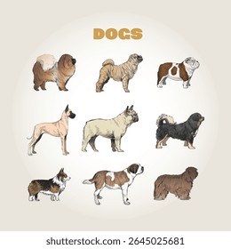 dogs vectors, separate from each other, colorable
