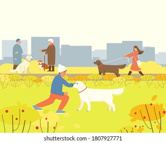 Dogs are walking in the autumn park. Pembroke Corgi with an elderly mistress for a walk. The owner of an Labrador Retriever walks her dog. Flat vector illustration with place for text.