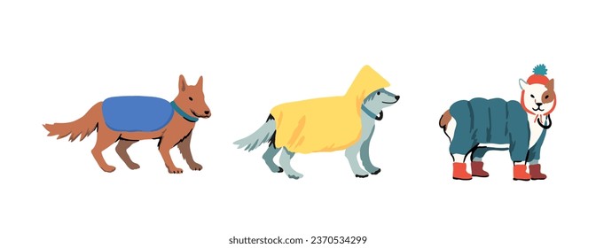 Dogs walks in bad weather. Dog in the fall and winter in the rain on a cold day. Vector illustration