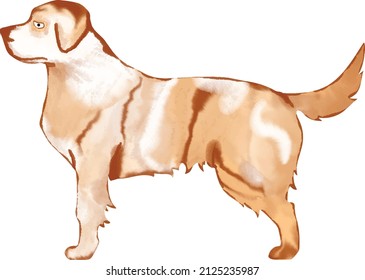 Dogs Watercolor Isolated on White Background.