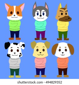 the dogs wearing sweater