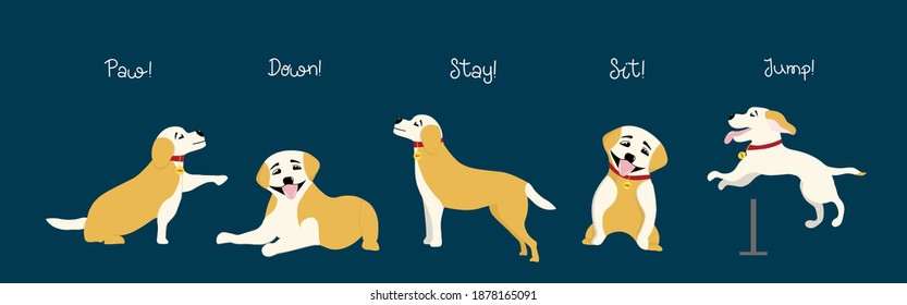 The dogs will follow the commands. Training of dogs and puppies. Trendy illustration for animal trainers.