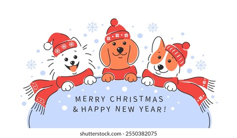 Dogs in winter clothes congratulations Merry Christmas and New Year. Vector illustration for clothing and accessories store for animals, discounts or sales in veterinary clinic and Pet grooming.


