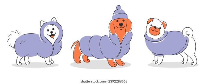 Dogs in winter clothes. Trendy cute pet in jacket and hat. Vector illustration for clothing and accessories store for animals


