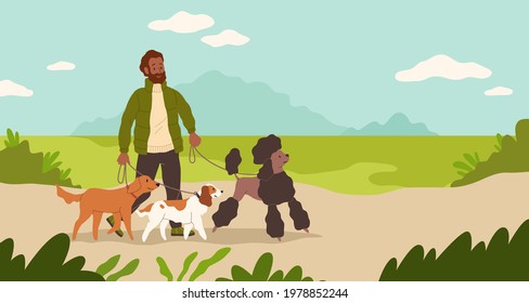 Dogsitter. Man walking dogs in park. Male character leads puppies on leashes. Sitter takes care of pets. Person with domestic animals outdoor. Groomers activity. Vector illustration