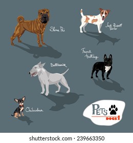 Dogs.Vector illustration set.