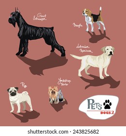 Dogs.Vector illustration set.