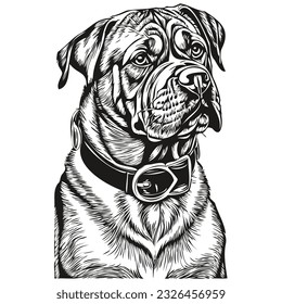 Dogue de Bordeaux dog pencil hand drawing vector, outline illustration pet face logo black and white realistic breed pet