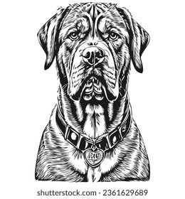 Dogue de Bordeaux dog pet sketch illustration, black and white engraving vector sketch drawing