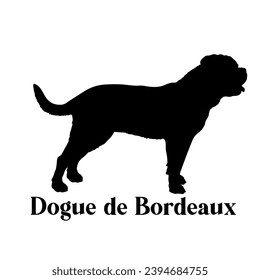Dogue de Bordeaux Dog silhouette dog breeds logo dog monogram logo dog face vector