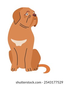 Dogue de bordeaux icon clipart avatar logotype isolated illustration