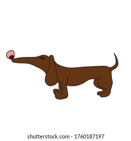 Dog.Vector design, illustration on a white isolated background, sticker.Holiday