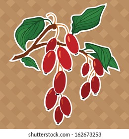 dogwood