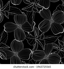 Dogwood branch with flowers seamless pattern. Cornus florida.  Line drawing. Black background.