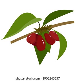 Dogwood flat vector icon. Fresh red berries on stem with leaves illustration isolated on white background. Organic healthy food and vitamin theme