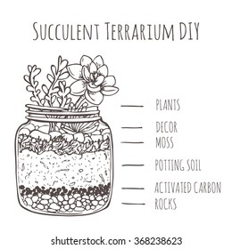 Do-It-Yourself tutorial of a succulent terrarium. Soil layering picture with hand-drawn succulents.
